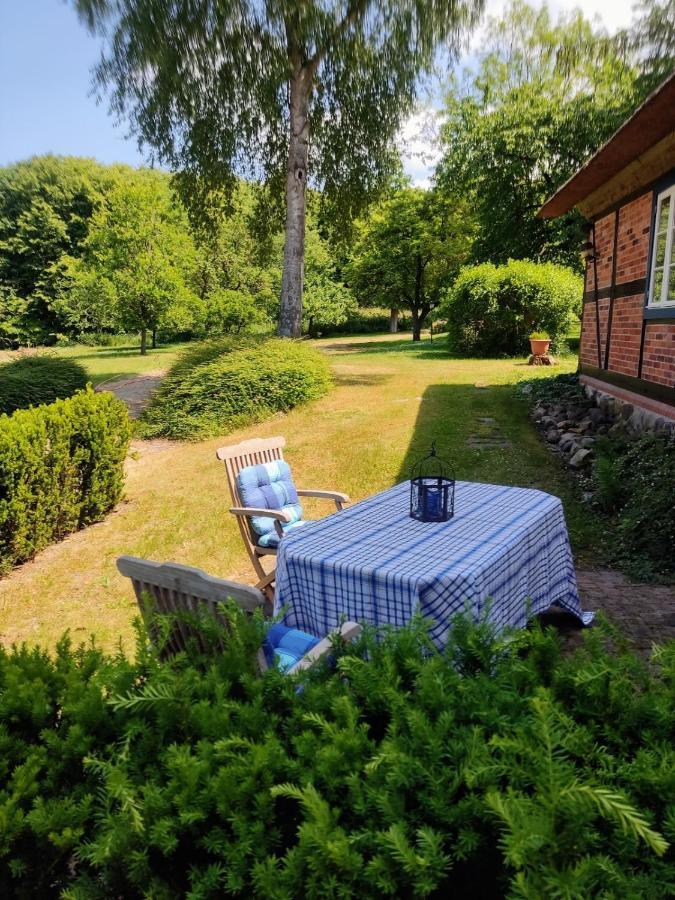 Chalet Forsthof Everstorf - Kleine Wohnung Grevesmuehlen Extérieur photo